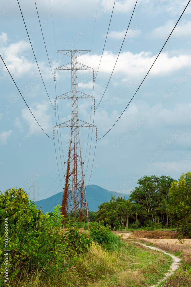 Electricity transmission line with green tree nature, Green conservative energy, Energy be friendly with environment concept, Power distribution pylon system to rural community and countryside