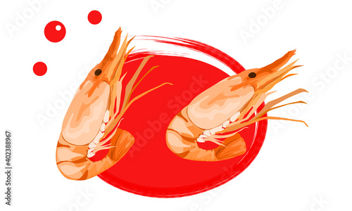 Isolated macro prawn on white background. Close up vector illustration.
