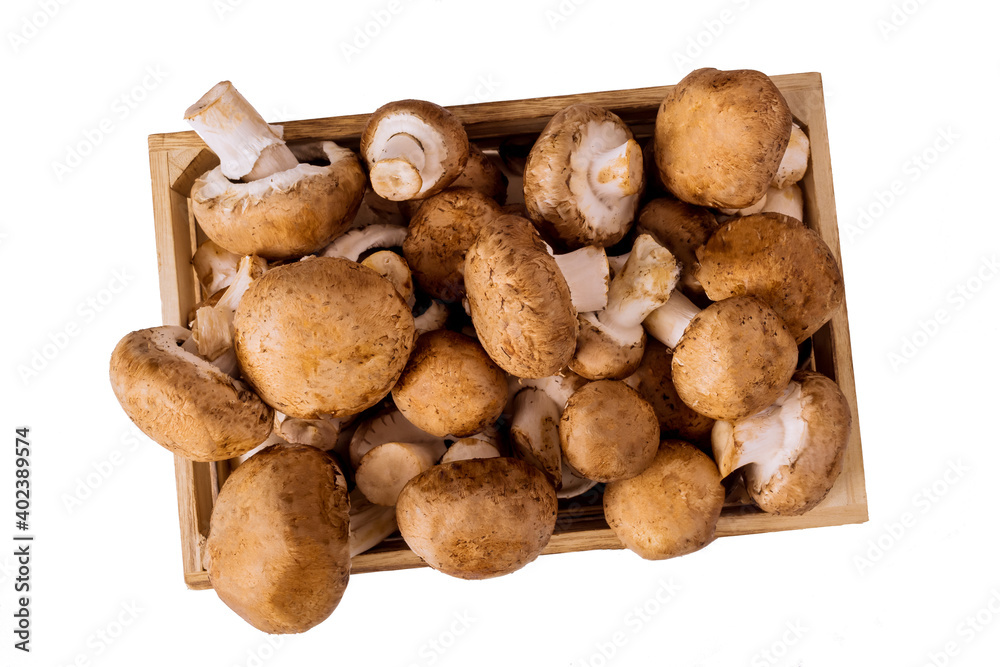 Fresh whole mushrooms isolated on white background.