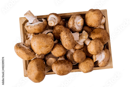 Fresh whole mushrooms isolated on white background.
