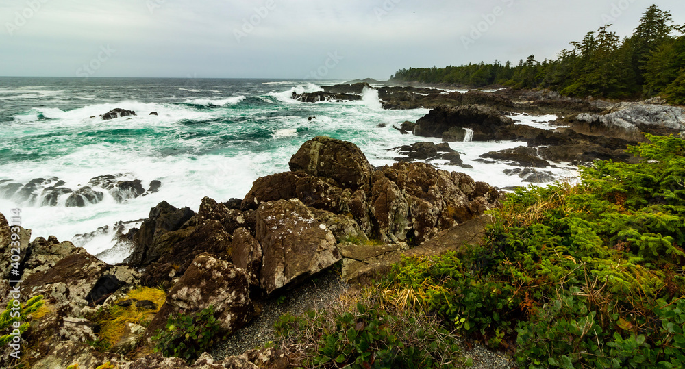 Waves crash along the rocky coastline of Vancouver Island