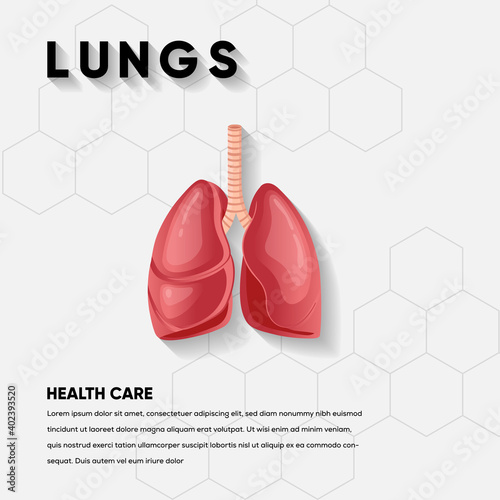 Lungs icon, flat style, Healthcare. Isolated on white background. Vector illustration