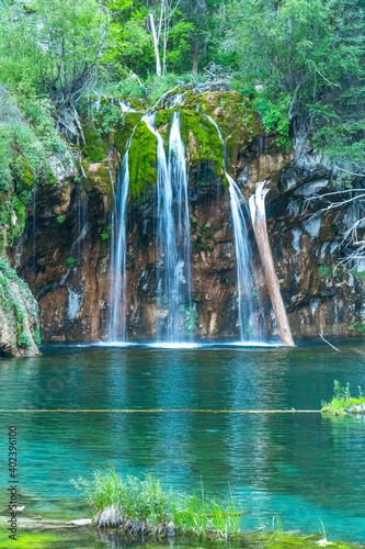 waterfall in the forest