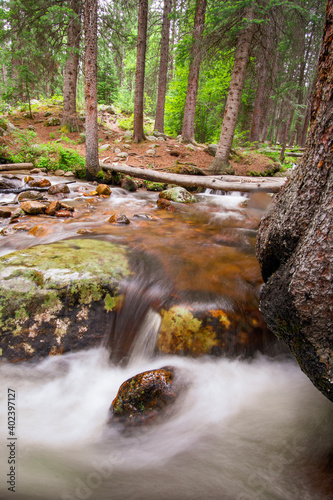 waterfall in the forest