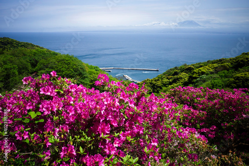 ツツジが美しい美保関の風景（島根県松江市） © Nature Land