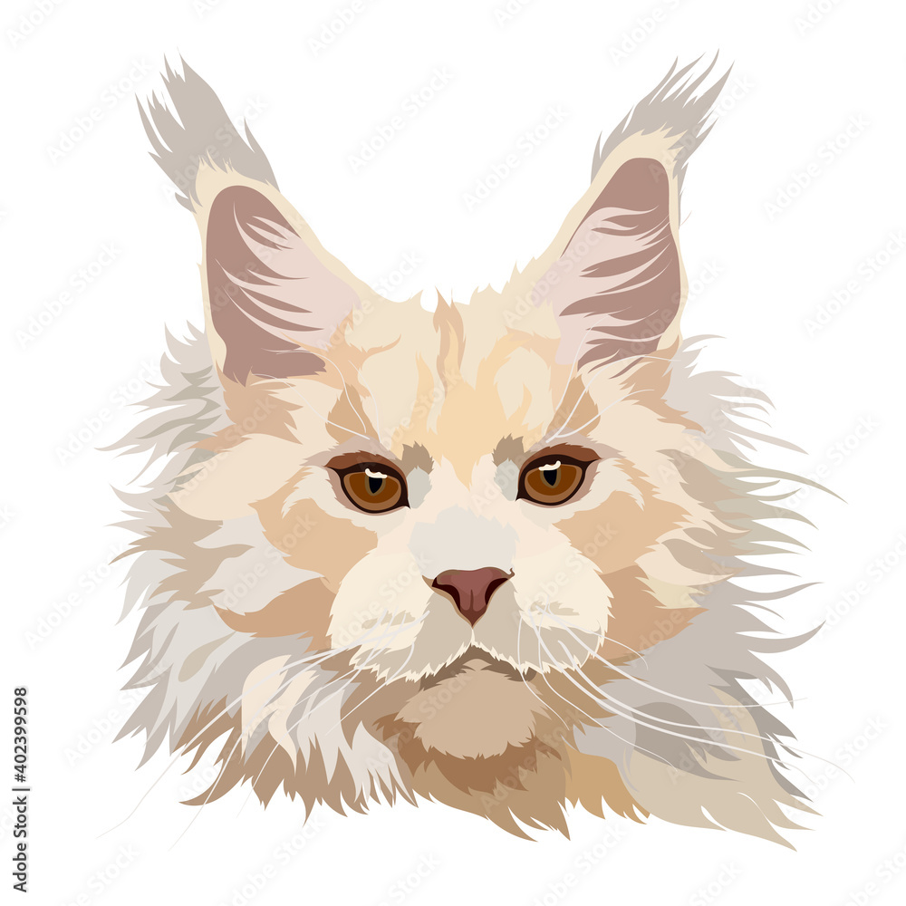 Maine Coon cat vector illustration. Portrait