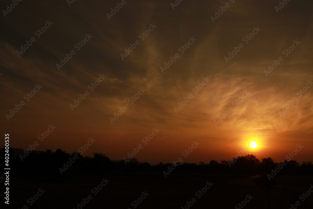 Golden light and silhouette in the morning