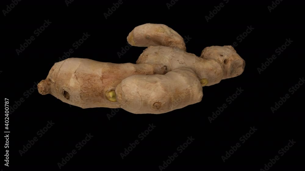 Root Lab Rhyzome Ginger Root Realistic render of a rotating fresh ginger root on transparent ...