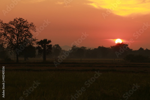 Golden light from sunrise and silhouette in the morning