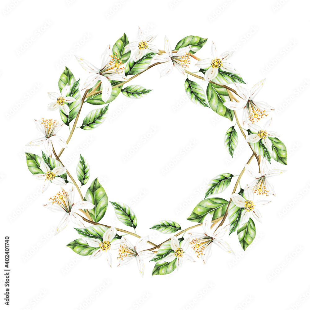 Fototapeta premium Lemons, Flowers and Leaves, Watercolor wreath .Fruits.