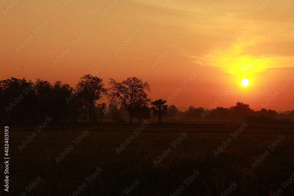 Golden light from sunrise and silhouette in the morning