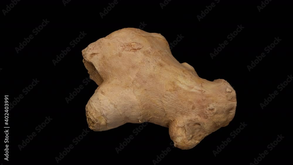 Realistic render of a rotating fresh ginger root on transparent background (with alpha channel). The video is seamlessly looping, and the object is 3D scanned from a real ginger rhizome.
Realistic render of a rotating fresh ginger root on transparent background (with alpha channel). The video is seamlessly looping, and the object is 3D scanned from a real ginger rhizome.