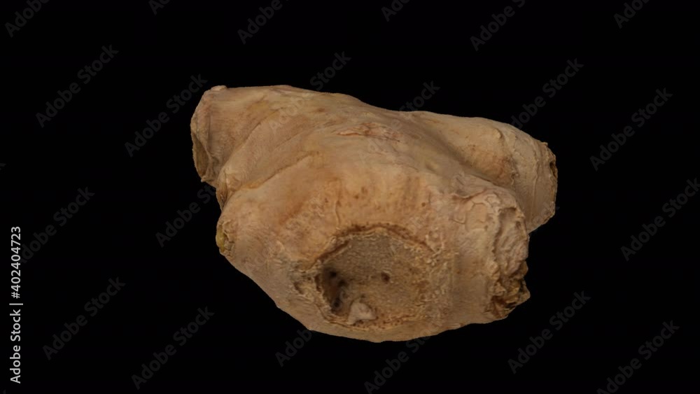 Realistic render of a rotating fresh ginger root on transparent background (with alpha channel). The video is seamlessly looping, and the object is 3D scanned from a real ginger rhizome.
Realistic render of a rotating fresh ginger root on transparent background (with alpha channel). The video is seamlessly looping, and the object is 3D scanned from a real ginger rhizome.
