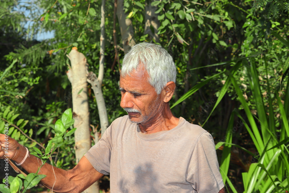 An Indian gardener working in the garden An Indian gardener working in the garden