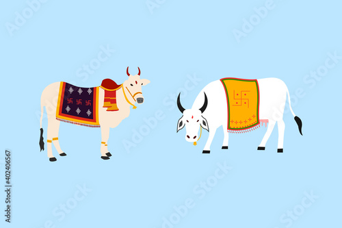 cartoon beautiful indian ox and cow decorated for Pongal festival isolated on blue background illustration. 

