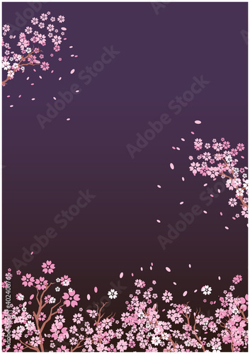 夜桜　背景　