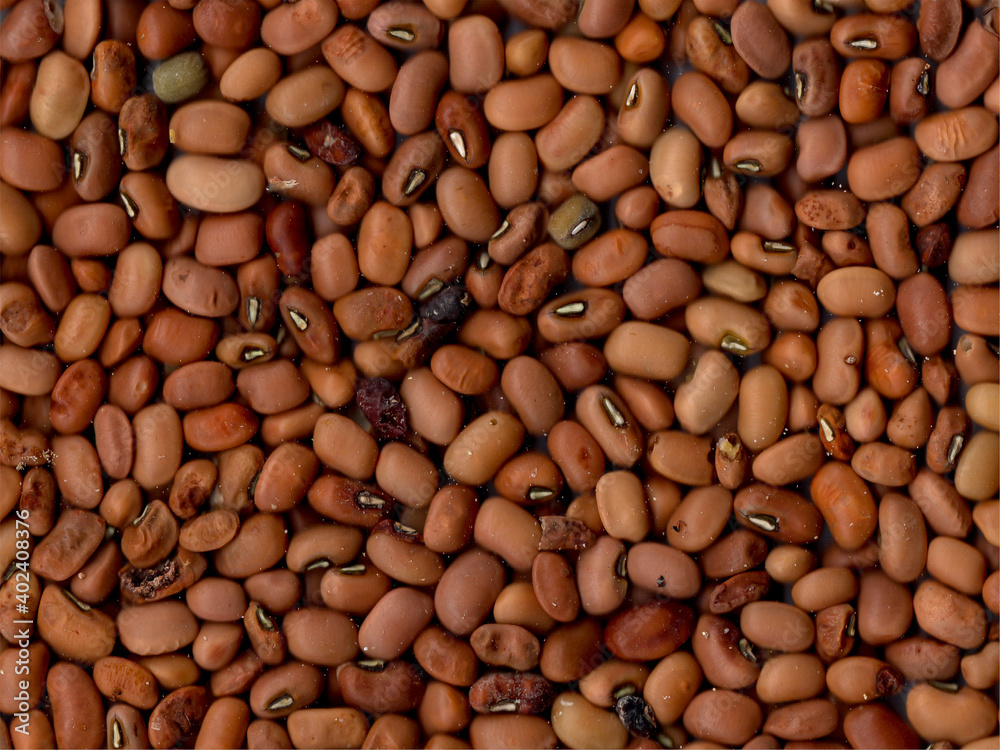 Soybean seed background ready to be processed Soybean seed background ready to be processed
