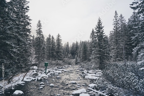 Snow Winter in Zakopane, Poland