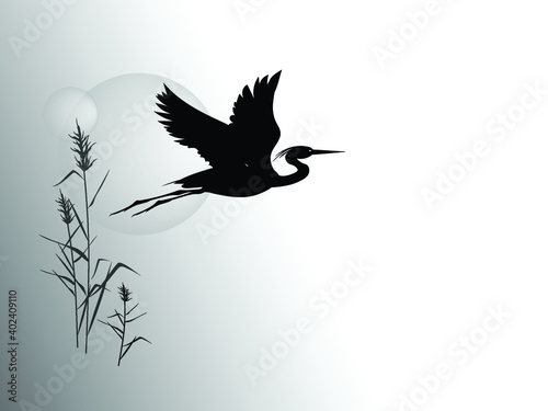 Fototapeta A silhouette of flying heron against the backdrop of a reeds and sun circle