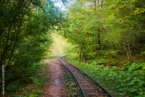 Abandoned railway in autumn mountain forest with foliar trees in Caucasus, Mezmay