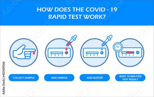 How COVID-19 or coronavirus rapid test works vector illustration template poster. Blood sample for covid-19 test icon.