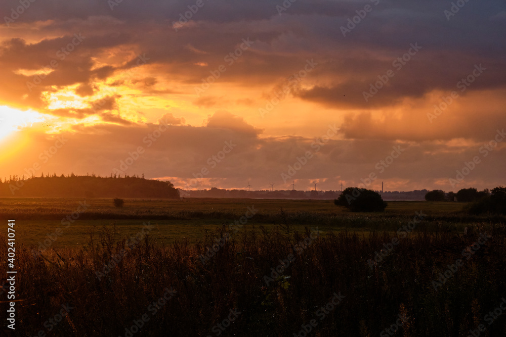 Lichtstimmung am Grabower Bodden bei Nisdorf, Nationalpark Vorpommersche Boddenlandschaft, Mecklenburg-Vorpommern, Deutschland