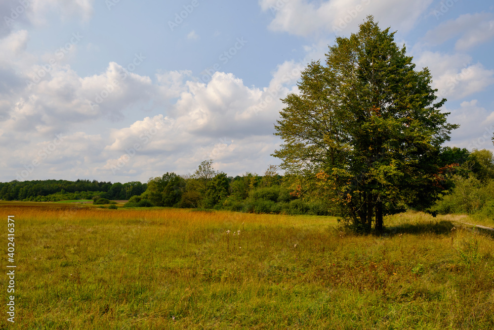 Obraz premium Naturwaldreservat Wolfsee im südlichen Steigerwald bei Dornheim, Landkreis Kitzingen, Franken, Unterfranken, Bayern, Deutschland