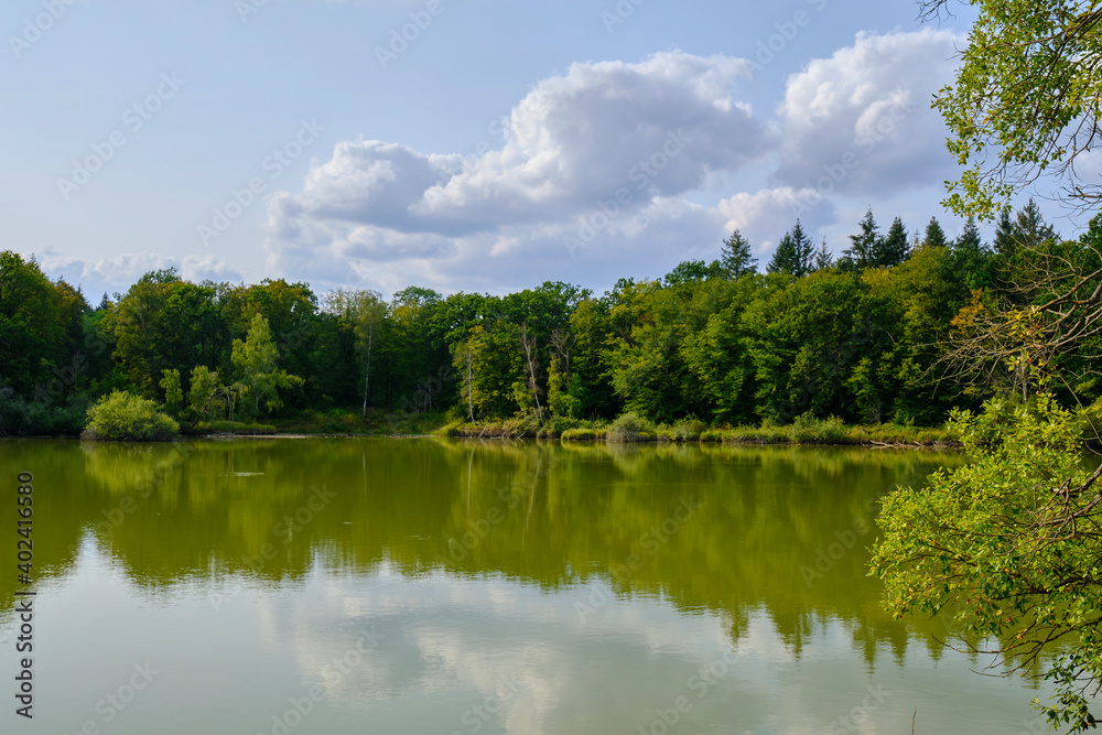 Naturwaldreservat Wolfsee im südlichen Steigerwald bei Dornheim, Landkreis Kitzingen, Franken, Unterfranken, Bayern, Deutschland
