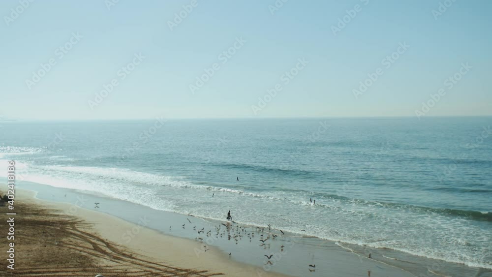 Male fisherman feeds the gulls with the rest of the fish, view of beautiful seamless sea waves breaking on sandy coastline, deep blue ocean water and foamy waves of Morocco, slow motion, 4k Male fisherman feeds the gulls with the rest of the fish, view of beautiful seamless sea waves breaking on sandy coastline, deep blue ocean water and foamy waves of Morocco, slow motion, 4k