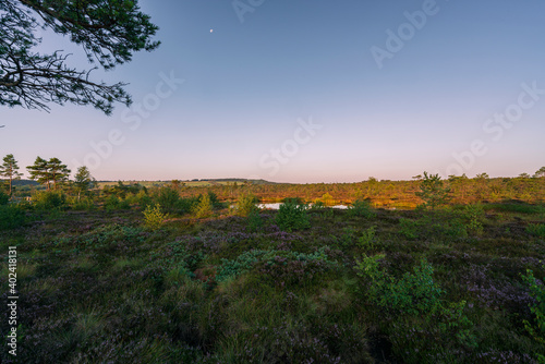 Das Naturschutzgebiet "Schwarzes Moor" im Morgenlicht, Biosphärenreservat Rhön, Unterfranken, Franken, Bayern, Deutschland