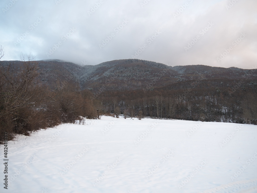 mountains and snow, in a winter day