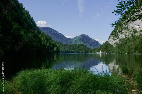 fresh green grass on a mountain lake in the summer