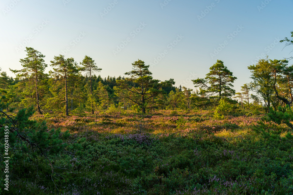Das Naturschutzgebiet Das Naturschutzgebiet