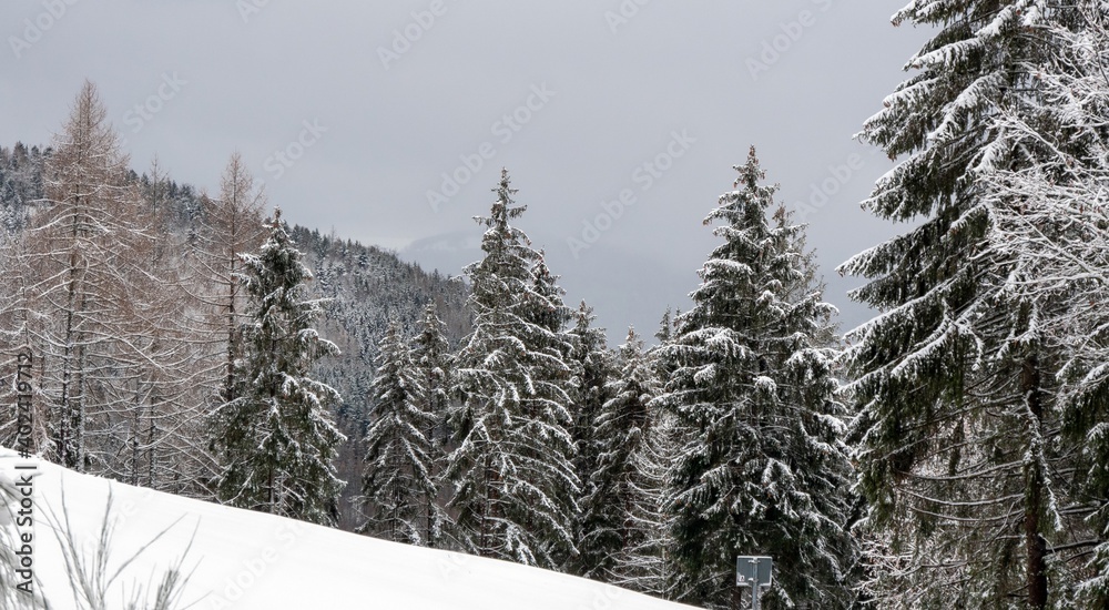 Obraz premium landscape with snow
