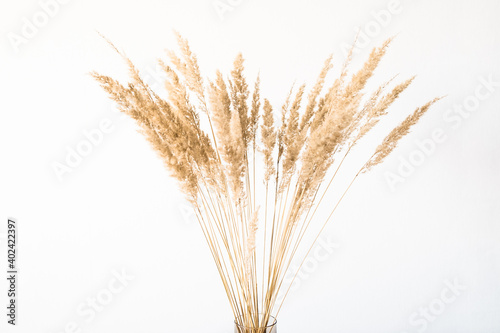 Dried flowers in a glass vase with an empty light wall for minimalist decor.
