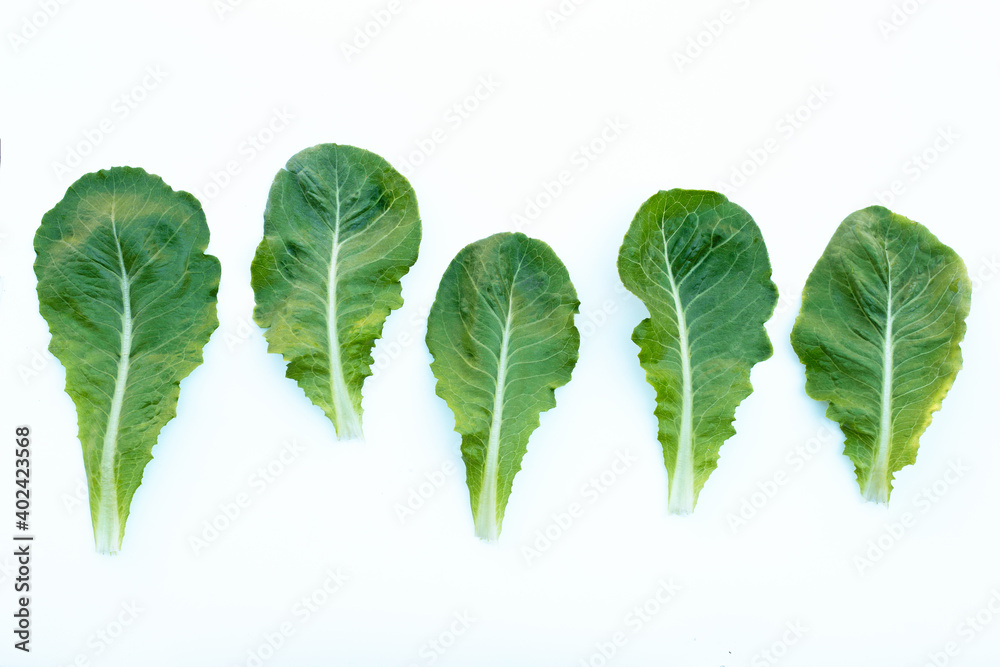 Lettuce leaves on white background. Top view Lettuce leaves on white background. Top view