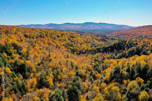 Peak Foliage - Stowe, Vermont