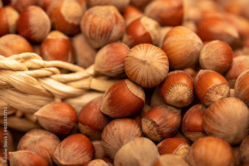Hazelnuts in a wicker basket and loose nuts. It's time for the autumn harvest. Close-up, selective focus. Hazelnuts in a wicker basket and loose nuts. It's time for the autumn harvest. Close-up, selective focus.