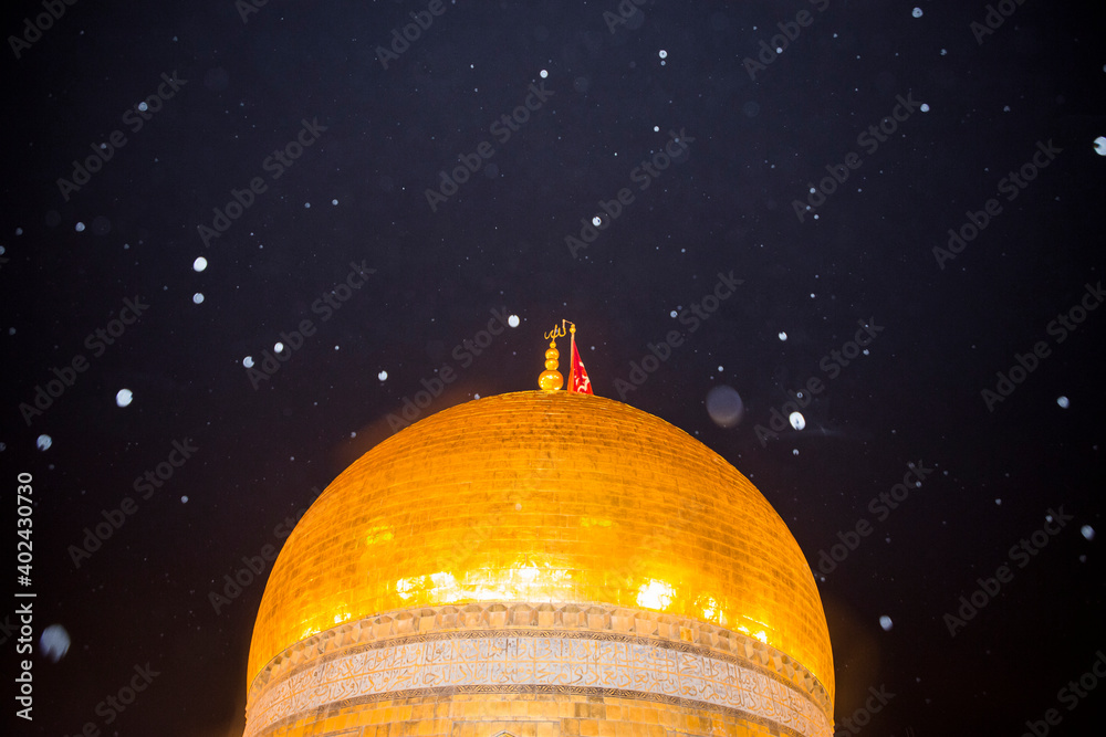 Saddam Hussein visual data 5