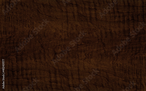 Beautiful crown cut dark brown wood veneer with an abstract grain
