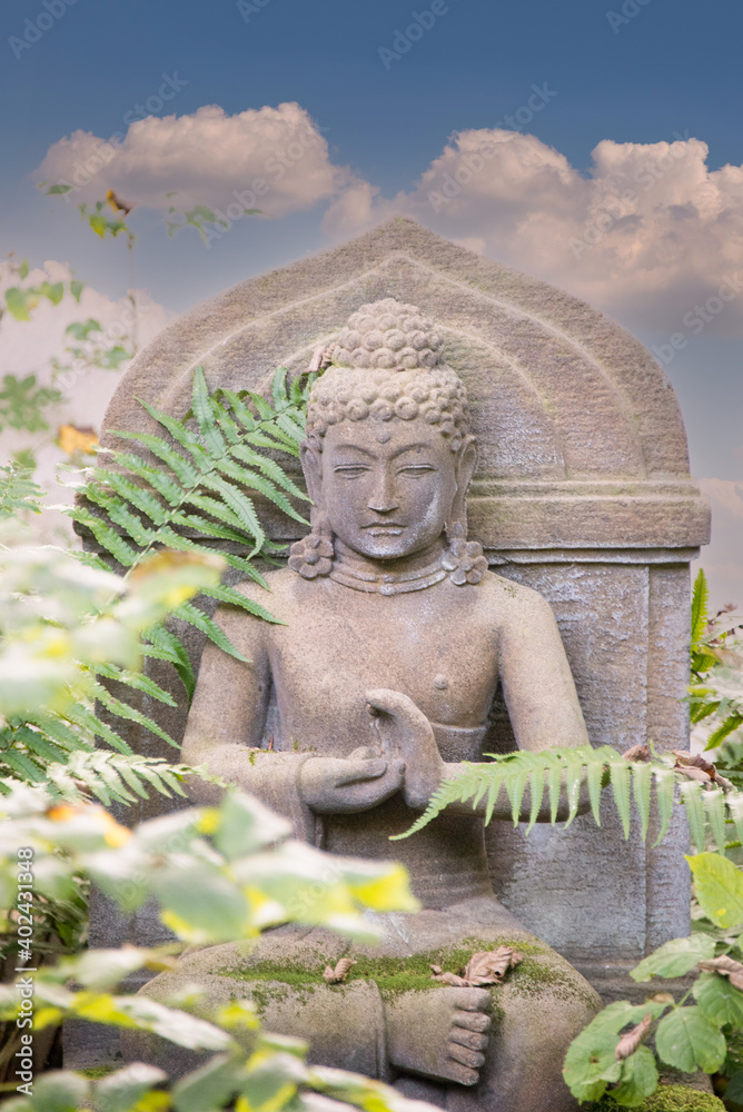 Obraz premium Buddha Statue zwischen Farn
