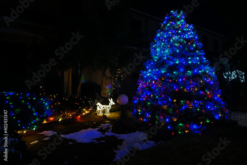 Christmas lights and colors in the garden