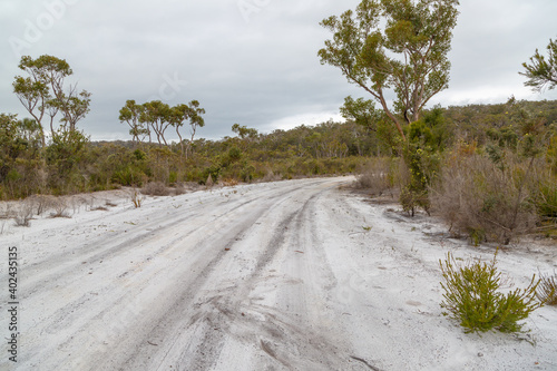 Fototapeta Naklejka Na Ścianę i Meble -  Landscape along a sandy road north of Denmark in Western Australia