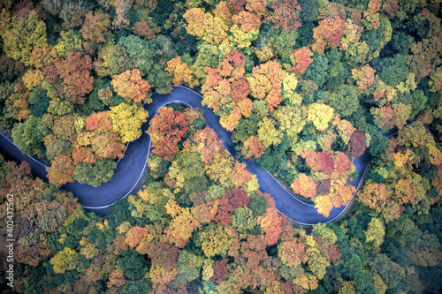 Fall Foliage - Vermont photo