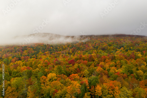 Peak Foliage - Vermont