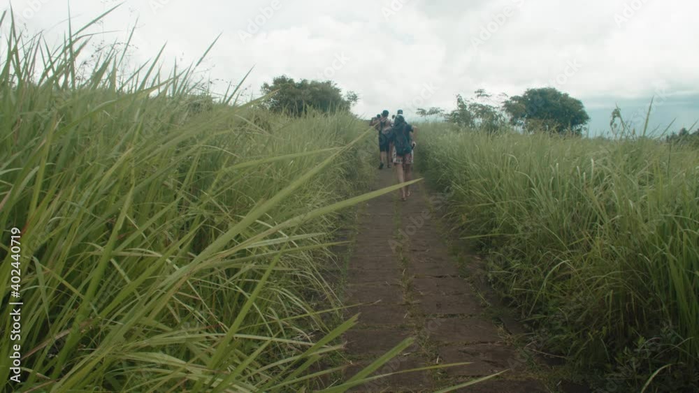 Slow dolly right showing group of hikers on rural trail during daytime surrounded by wilderness of Bali Island. Slow dolly right showing group of hikers on rural trail during daytime surrounded by wilderness of Bali Island.