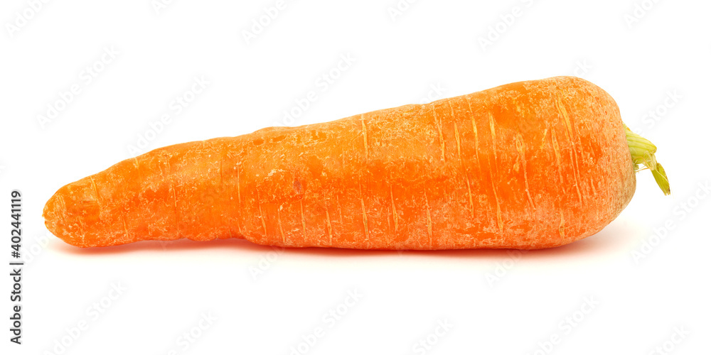 Large soil grown carrots isolated on white background
Large soil grown carrots isolated on white background