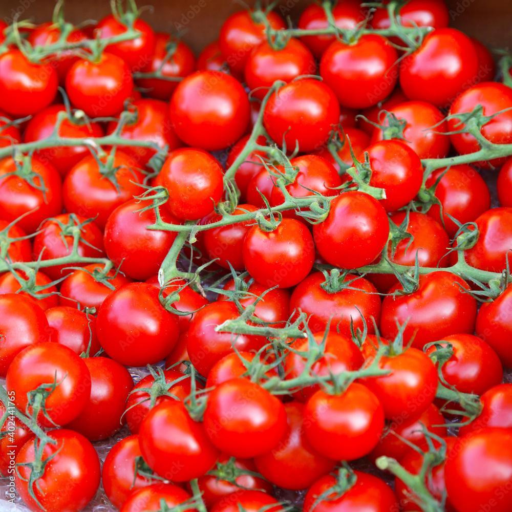 Cherry Tomato on Vine