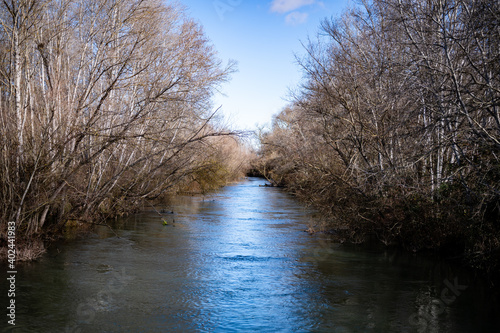 Naturaleza en el parque de la mitjana en lleida durante invierno