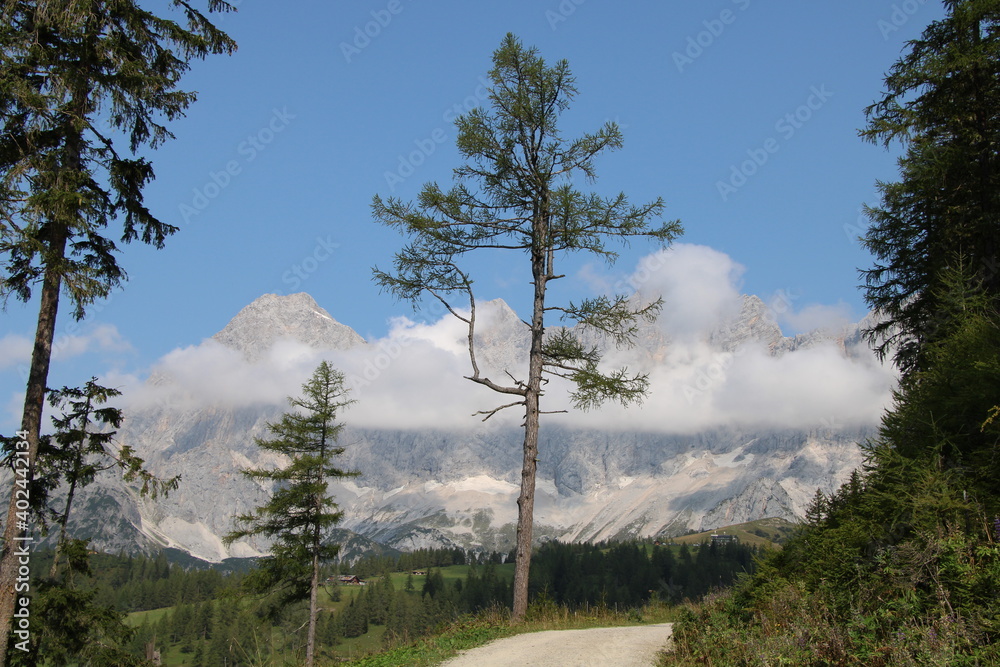 Naklejka premium Wanderung im Dachsteingebirge, Österreich